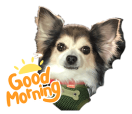 817431641