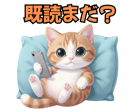 817440644