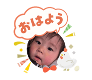 817442552