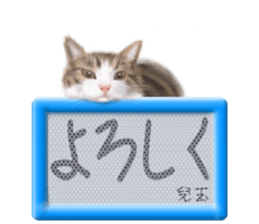 817448347