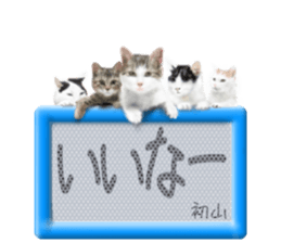 817448911