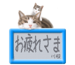 817453195