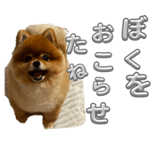 817476789