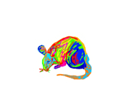 817493297