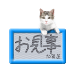 817519506