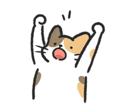 ลายที่ 3