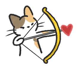 ลายที่ 5