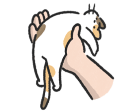 ลายที่ 9