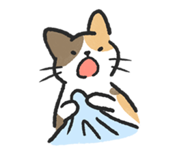 ลายที่ 13