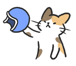 ลายที่ 17