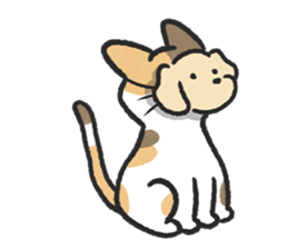 ลายที่ 23