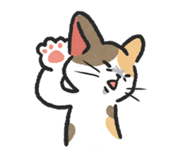 ลายที่ 27