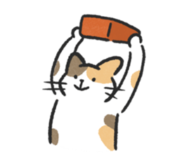 ลายที่ 29