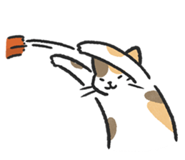 ลายที่ 31