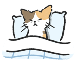 ลายที่ 33