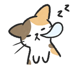 ลายที่ 41