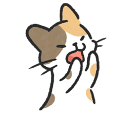 ลายที่ 45