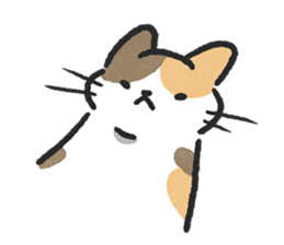 ลายที่ 49