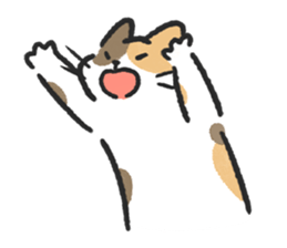 ลายที่ 59