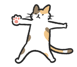 ลายที่ 61