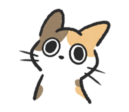 ลายที่ 65