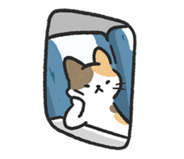 ลายที่ 69