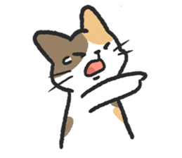 ลายที่ 73