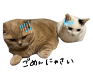 817528373