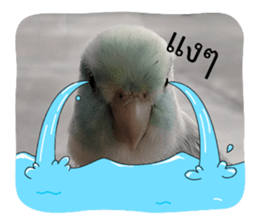 817570392