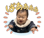 817574649