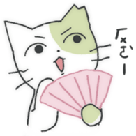 817582037