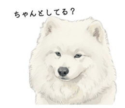 817603595