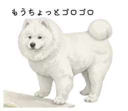 817603602