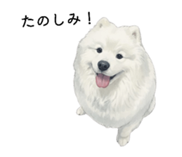 817603606
