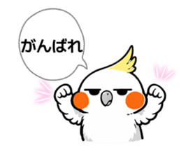 817607683