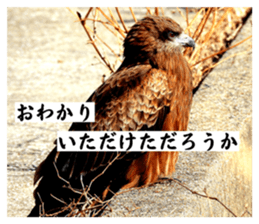817631679