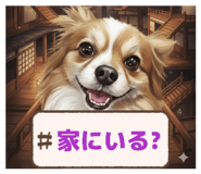 817680549
