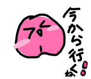 817684091