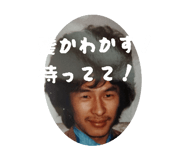 817688491