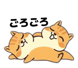 817693096