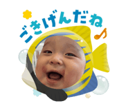 817723862