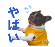 817729315