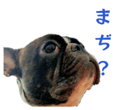 817729320