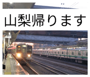 817746076