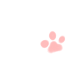 817746951