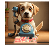 817748853