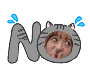 817753009