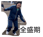 817753637