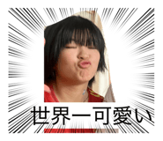 817753640