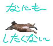 817757115